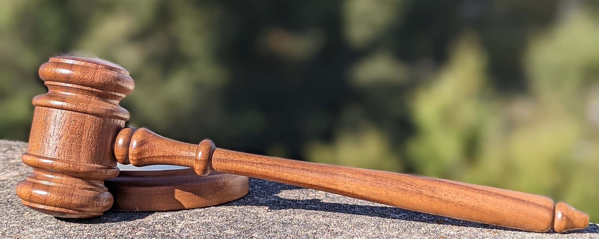 Gavel